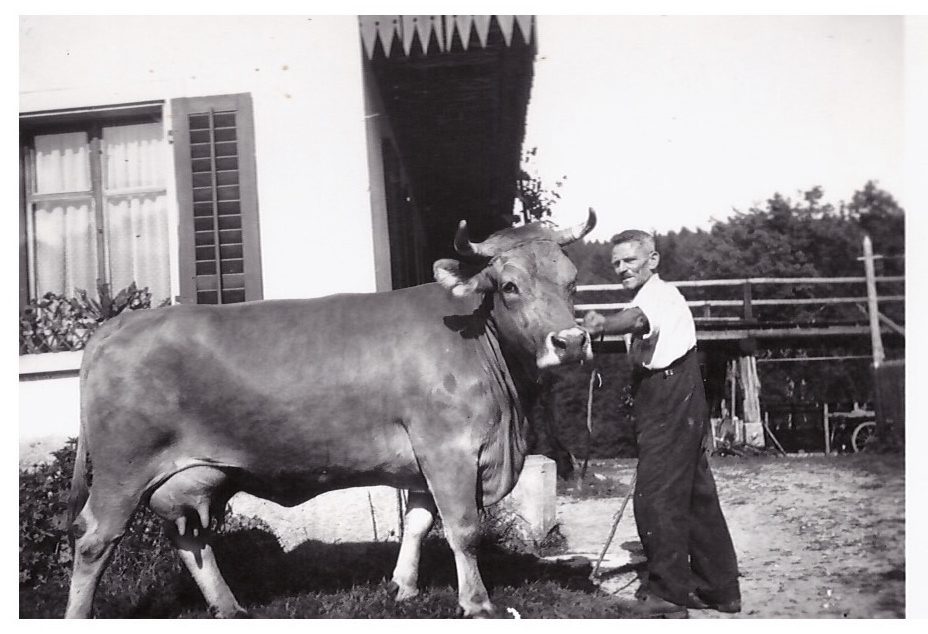 Profi für Veränderung trifft Bauernsohn